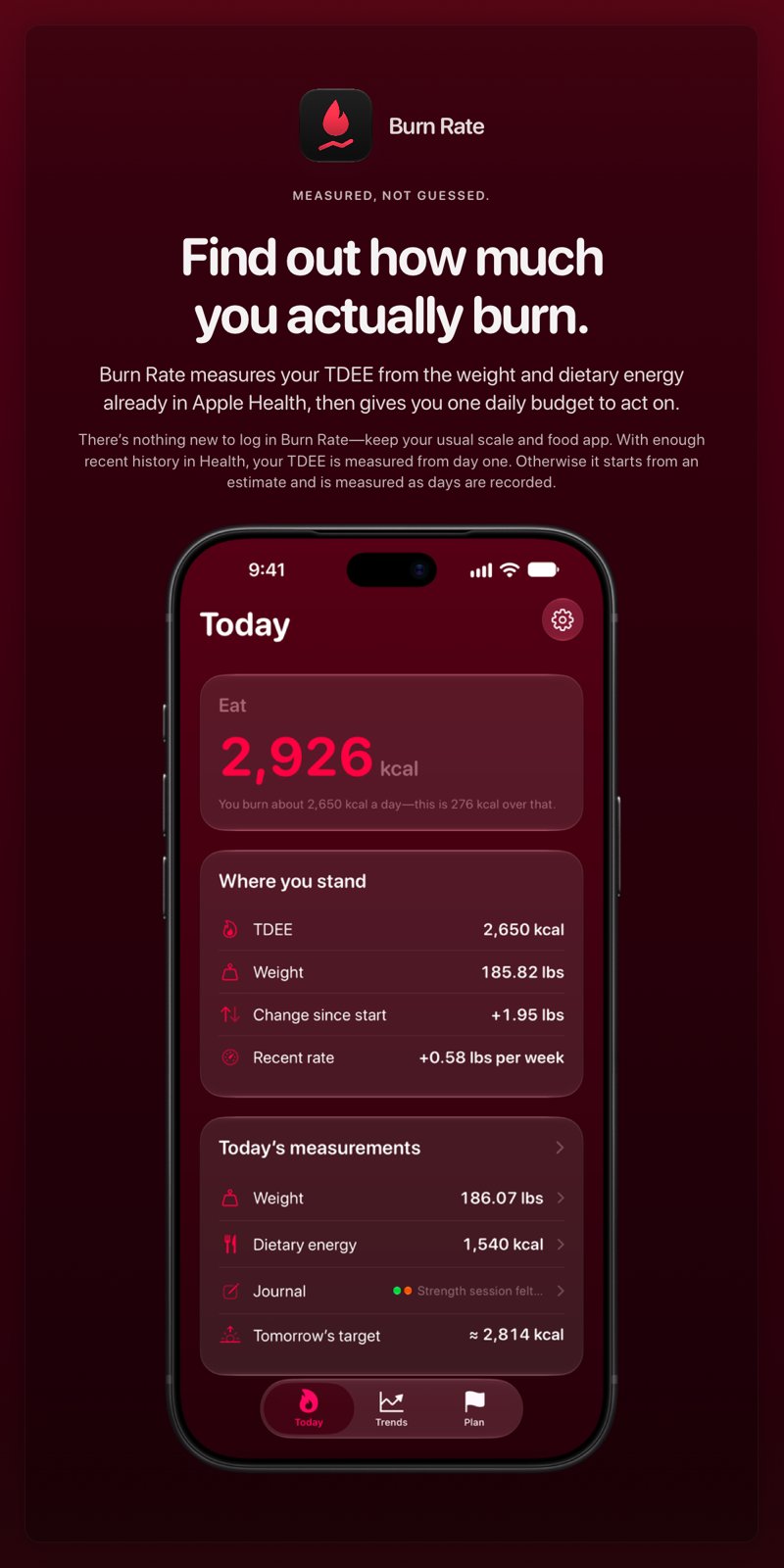 The Burn Rate share image, showing the app on iPhone 18 Pro Max with its icon, name and headline for the gain story, in the Pink tint, dark appearance.
