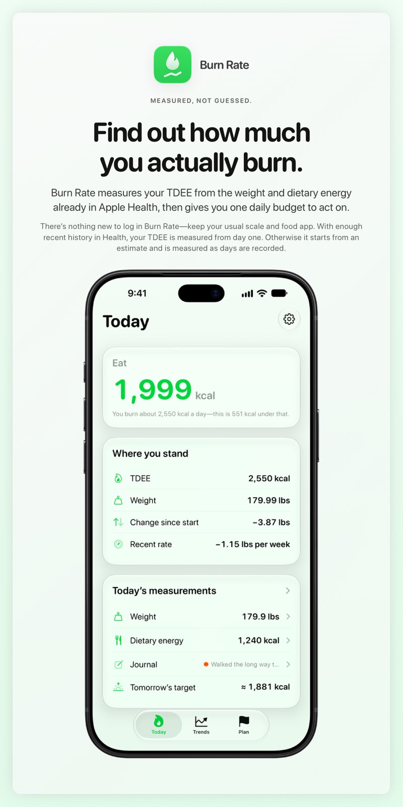 The Burn Rate share image, showing the app on iPhone 18 Pro Max with its icon, name and headline for the loss story, in the Green tint, light appearance.