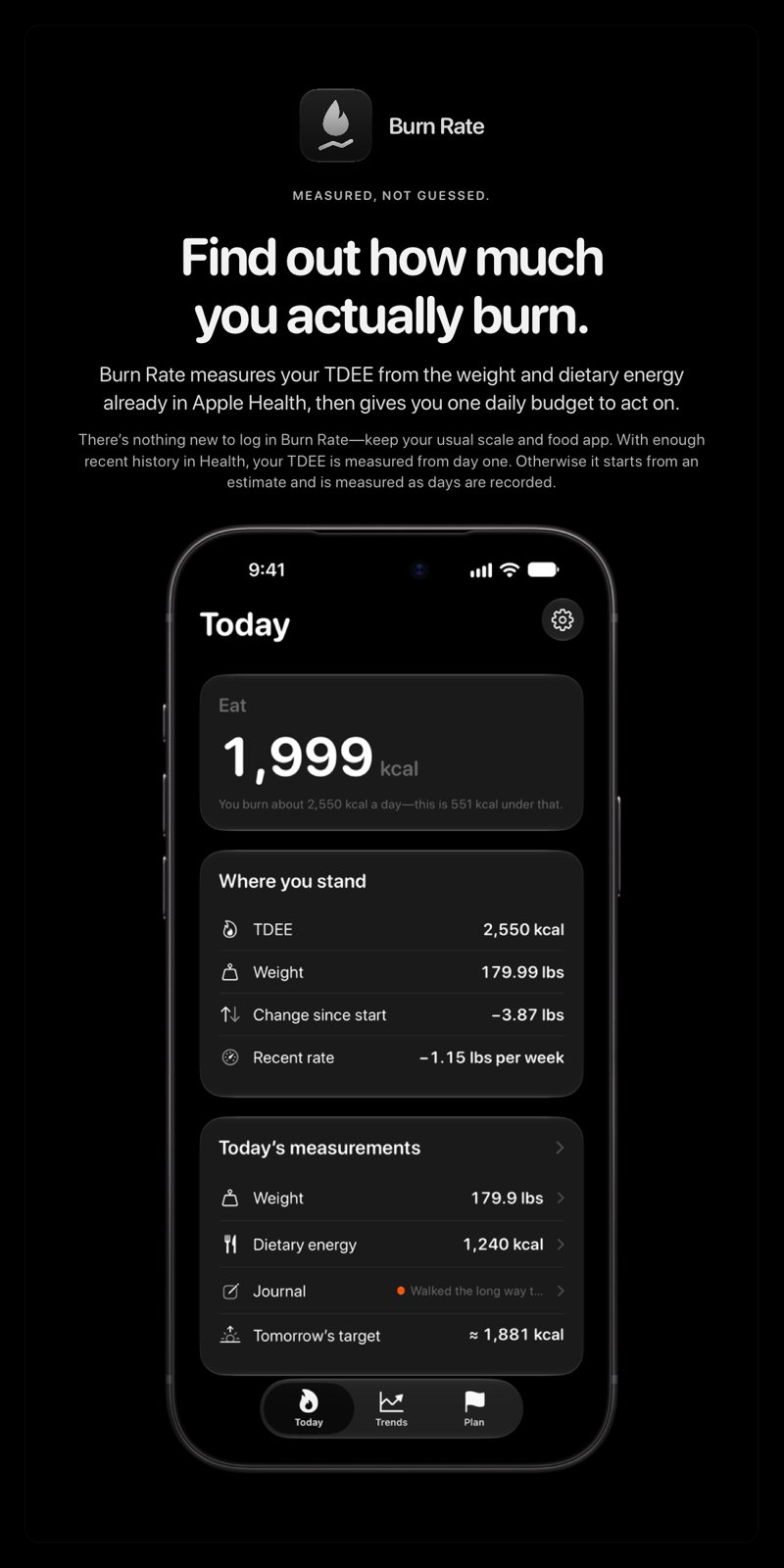The Burn Rate share image, showing the app on iPhone 18 Pro Max with its icon, name and headline for the loss story, in the Grey tint, dark appearance.