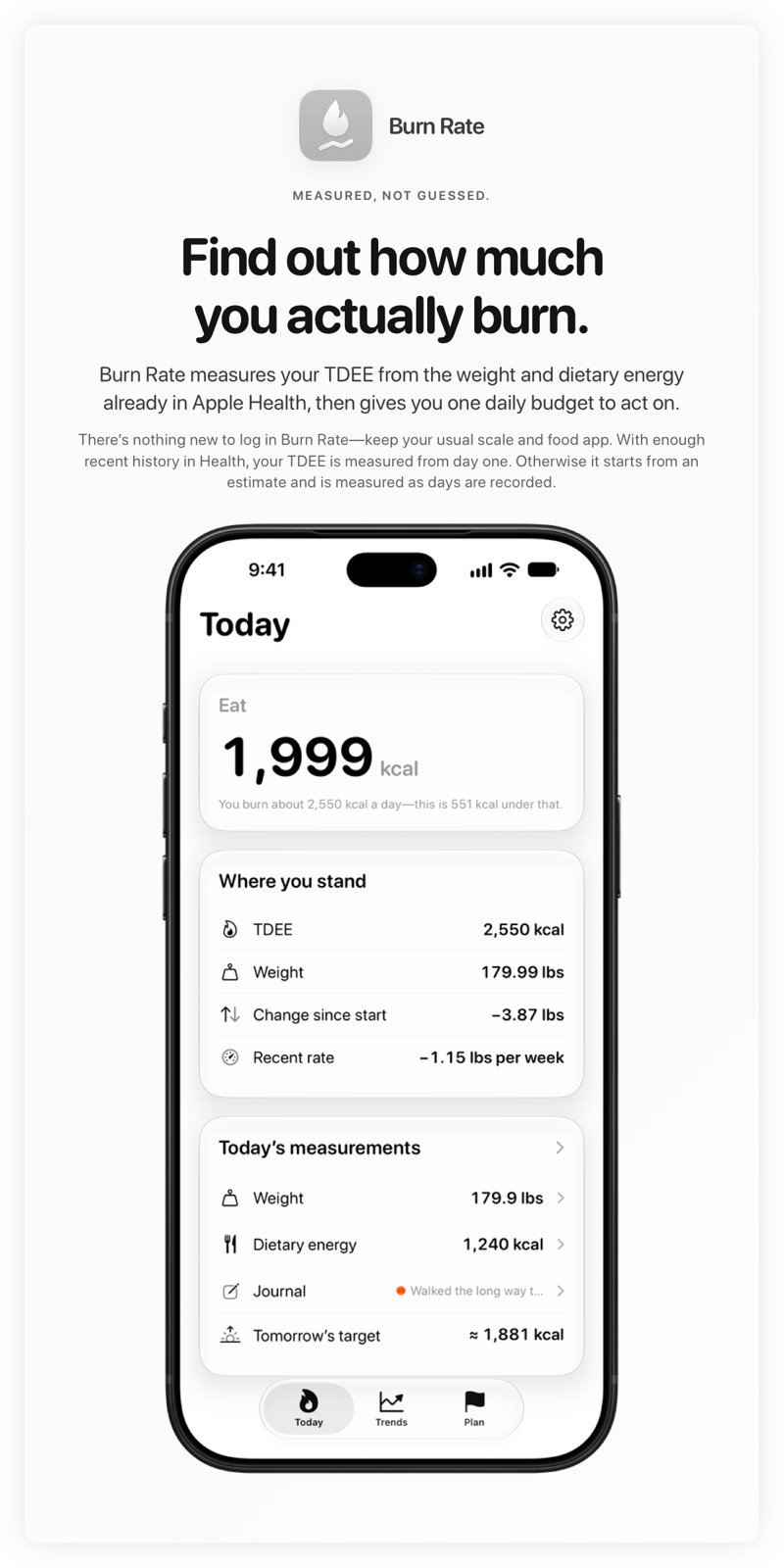 The Burn Rate share image, showing the app on iPhone 18 Pro Max with its icon, name and headline for the loss story, in the Grey tint, light appearance.