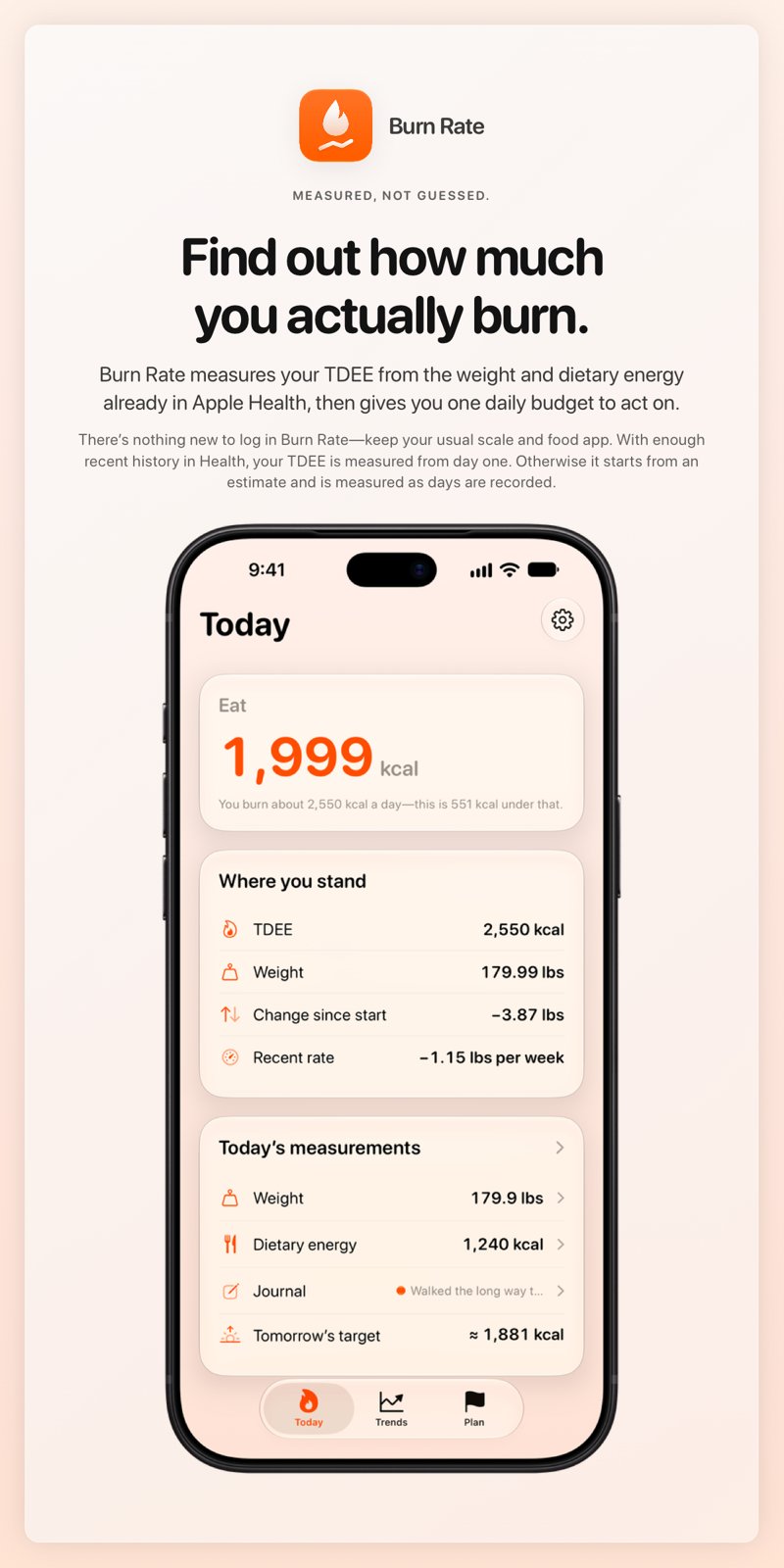 The Burn Rate share image, showing the app on iPhone 18 Pro Max with its icon, name and headline for the loss story, in the Orange tint, light appearance.