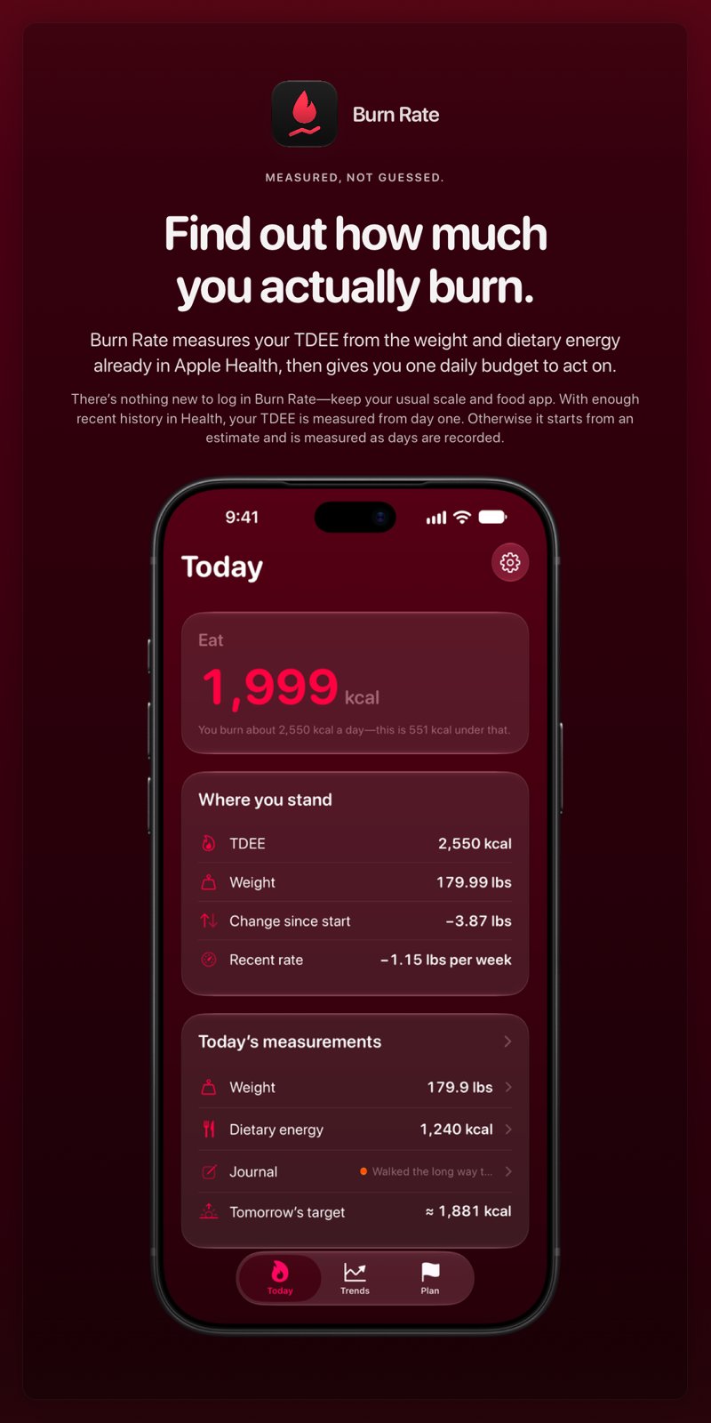 The Burn Rate share image, showing the app on iPhone 18 Pro Max with its icon, name and headline for the loss story, in the Pink tint, dark appearance.