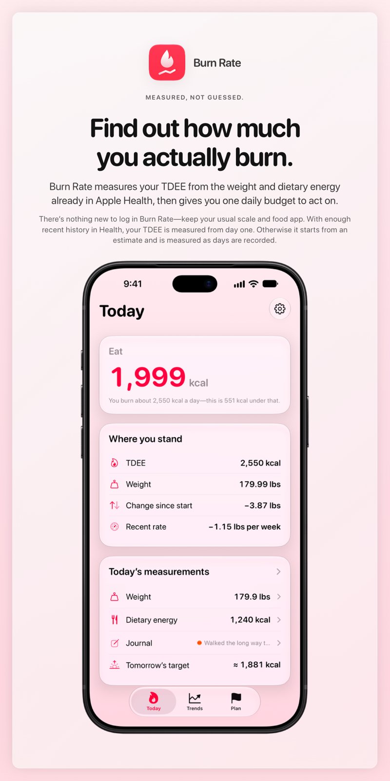 The Burn Rate share image, showing the app on iPhone 18 Pro Max with its icon, name and headline for the loss story, in the Pink tint, light appearance.