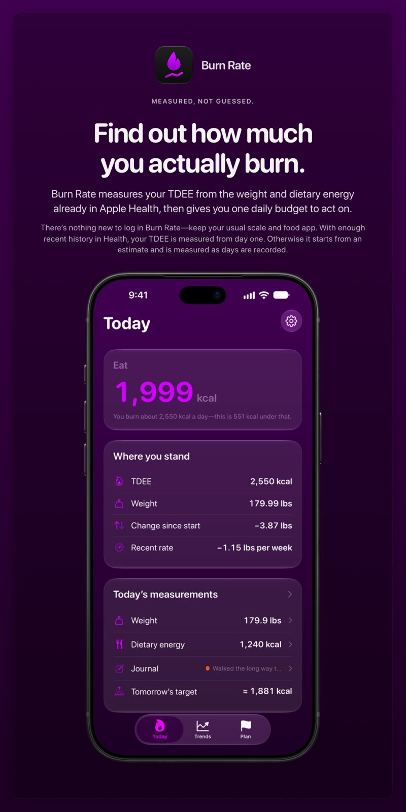 The Burn Rate share image, showing the app on iPhone 18 Pro Max with its icon, name and headline for the loss story, in the Purple tint, dark appearance.