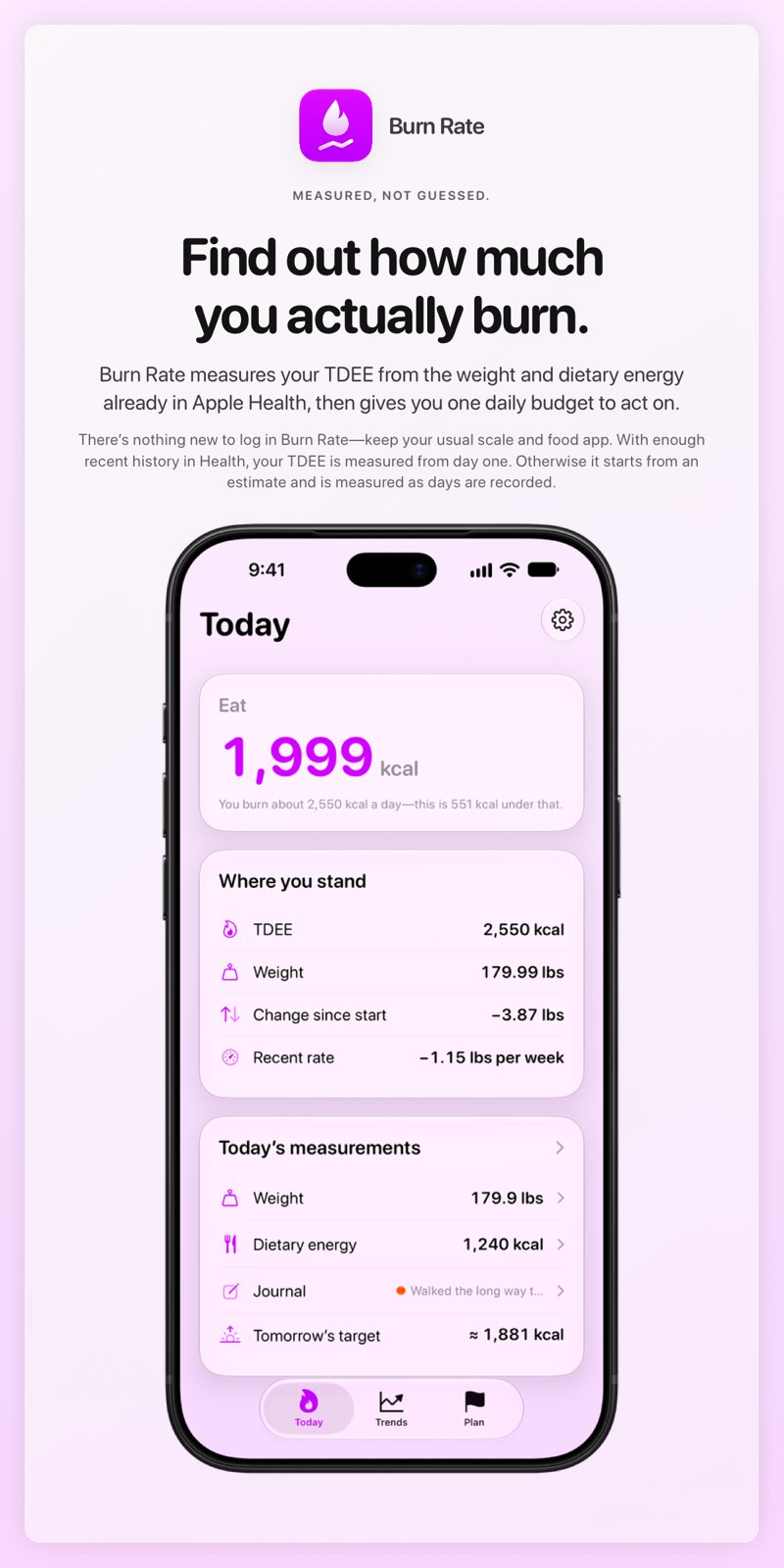 The Burn Rate share image, showing the app on iPhone 18 Pro Max with its icon, name and headline for the loss story, in the Purple tint, light appearance.
