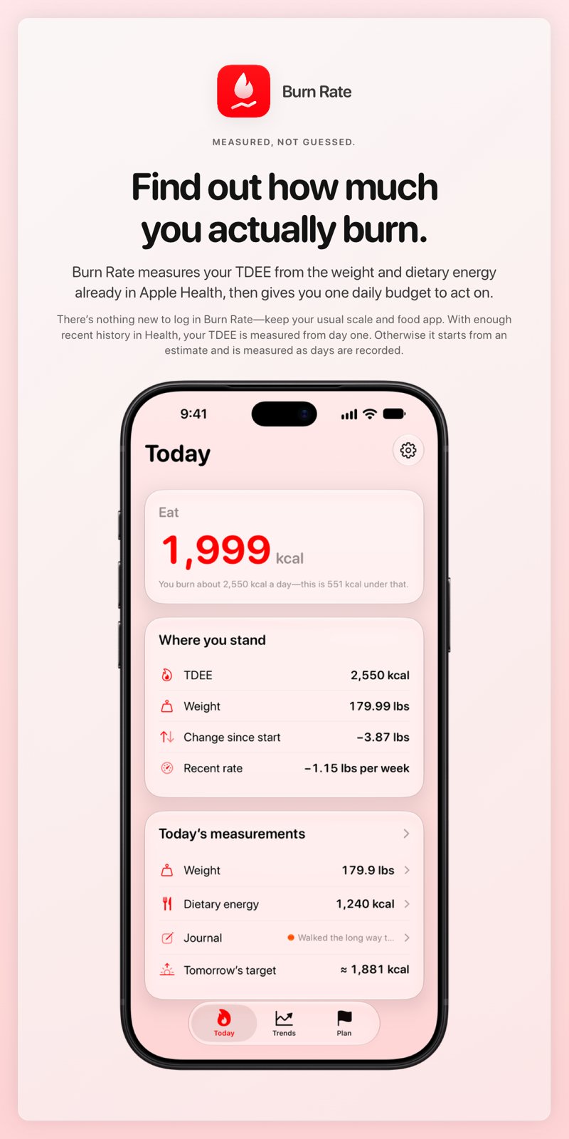 The Burn Rate share image, showing the app on iPhone 18 Pro Max with its icon, name and headline for the loss story, in the Red tint, light appearance.