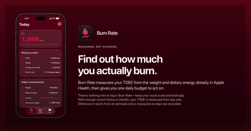 The Burn Rate share image, showing the app on iPhone 18 Pro Max with its icon, name and headline for the loss story, in the Pink tint, dark appearance.