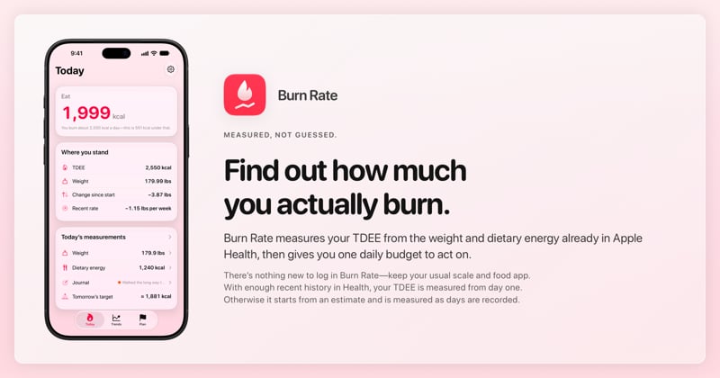 The Burn Rate share image, showing the app on iPhone 18 Pro Max with its icon, name and headline for the loss story, in the Pink tint, light appearance.