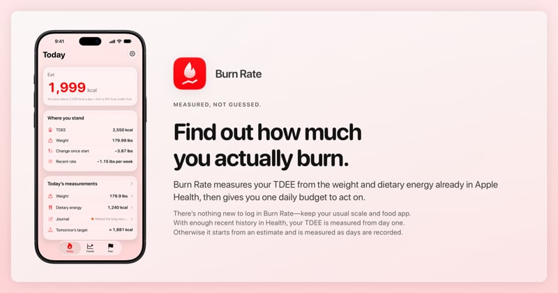 The Burn Rate share image, showing the app on iPhone 18 Pro Max with its icon, name and headline for the loss story, in the Red tint, light appearance.
