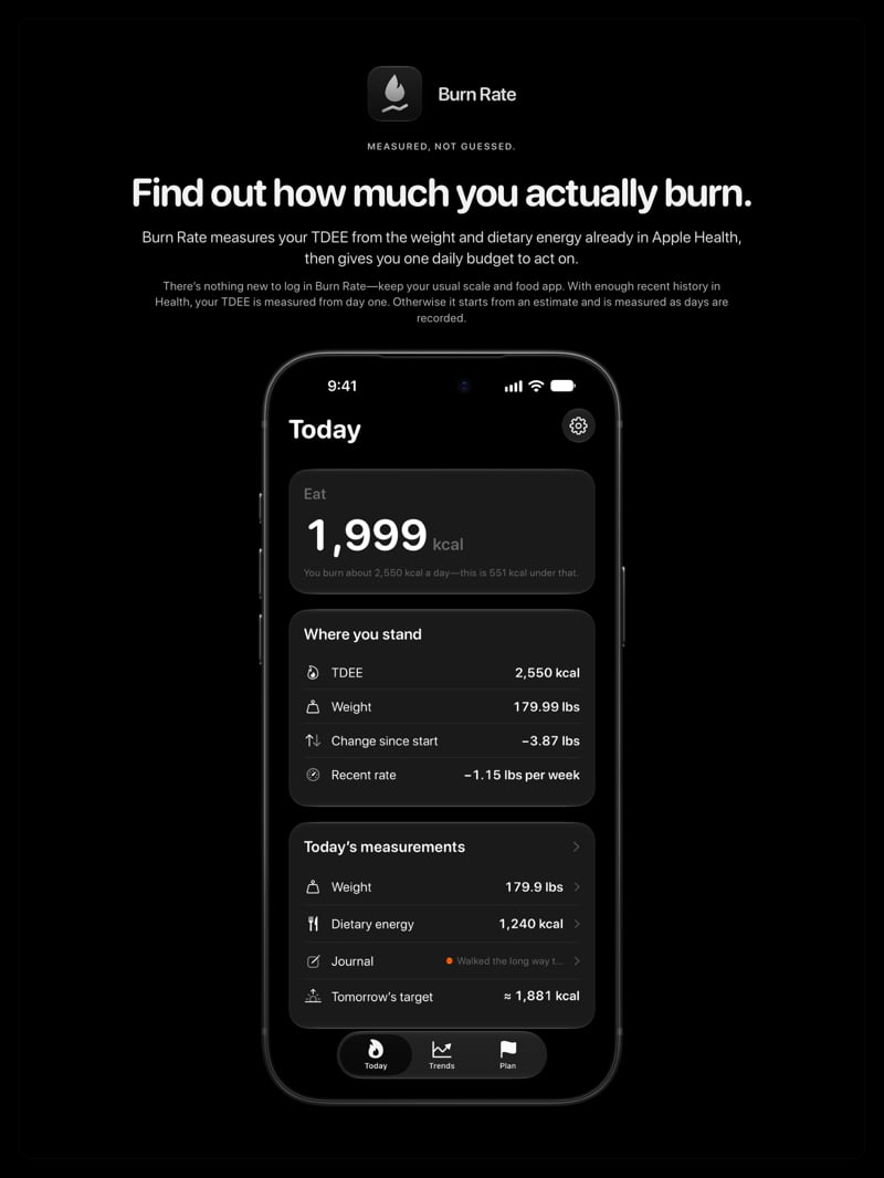 The Burn Rate share image, showing the app on iPhone 18 Pro Max with its icon, name and headline for the loss story, in the Grey tint, dark appearance.
