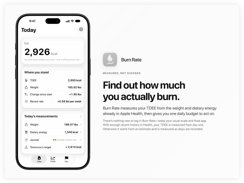 The Burn Rate share image, showing the app on iPhone 18 Pro Max with its icon, name and headline for the gain story, in the Grey tint, light appearance.