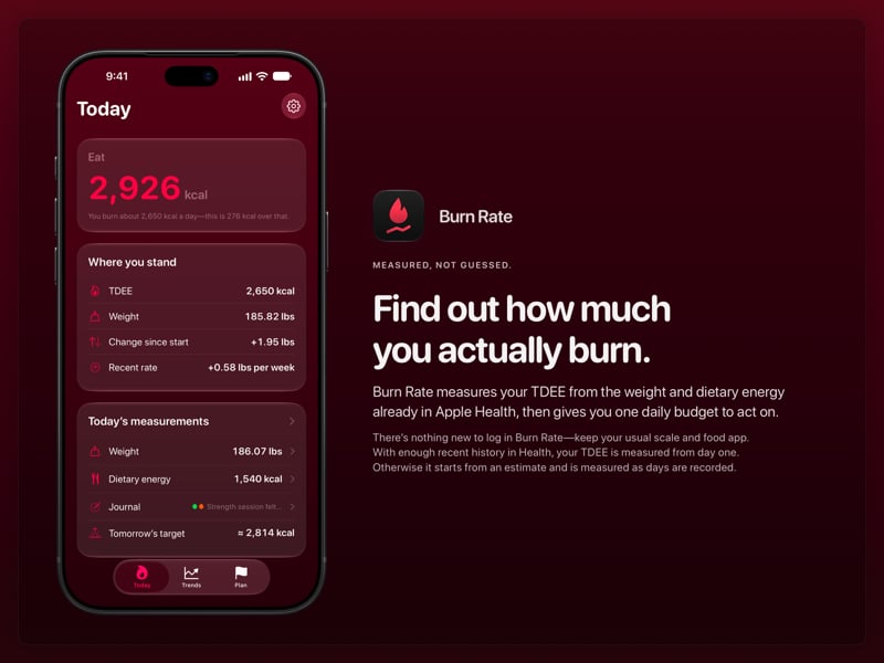 The Burn Rate share image, showing the app on iPhone 18 Pro Max with its icon, name and headline for the gain story, in the Pink tint, dark appearance.