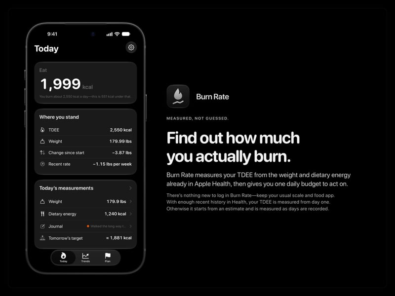 The Burn Rate share image, showing the app on iPhone 18 Pro Max with its icon, name and headline for the loss story, in the Grey tint, dark appearance.