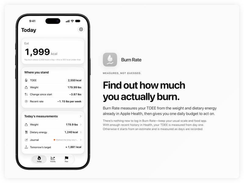 The Burn Rate share image, showing the app on iPhone 18 Pro Max with its icon, name and headline for the loss story, in the Grey tint, light appearance.
