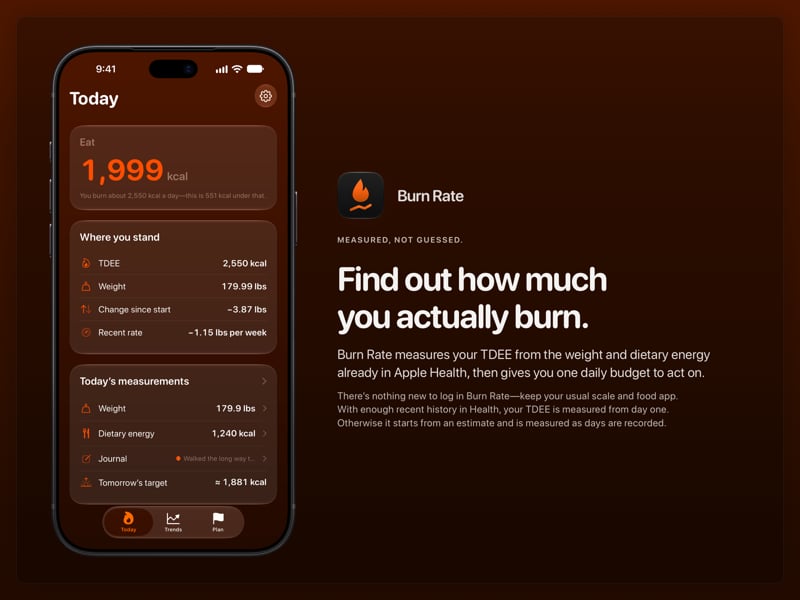 The Burn Rate share image, showing the app on iPhone 18 Pro Max with its icon, name and headline for the loss story, in the Orange tint, dark appearance.