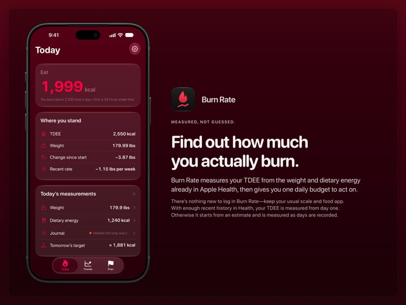 The Burn Rate share image, showing the app on iPhone 18 Pro Max with its icon, name and headline for the loss story, in the Pink tint, dark appearance.