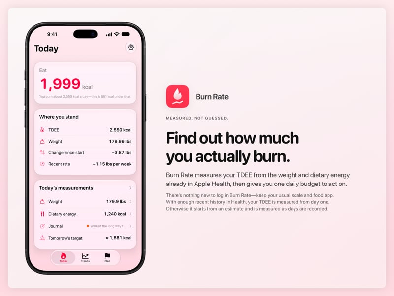 The Burn Rate share image, showing the app on iPhone 18 Pro Max with its icon, name and headline for the loss story, in the Pink tint, light appearance.