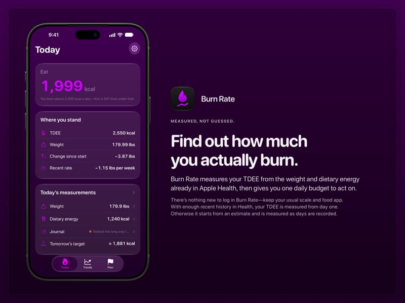 The Burn Rate share image, showing the app on iPhone 18 Pro Max with its icon, name and headline for the loss story, in the Purple tint, dark appearance.