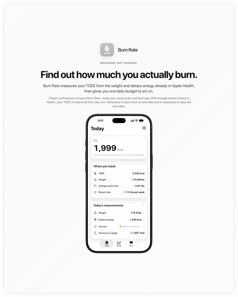 The Burn Rate share image, showing the app on iPhone 18 Pro Max with its icon, name and headline for the loss story, in the Grey tint, light appearance.