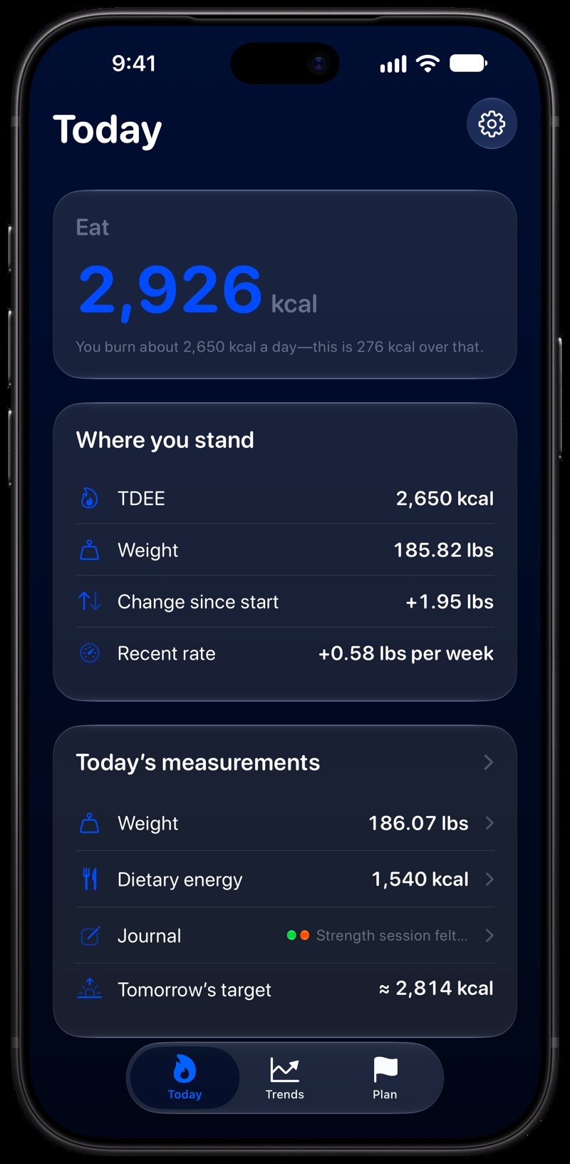 Burn Rate on iPhone 18 Pro Max showing Home for the gain story, in the Blue tint, dark appearance.