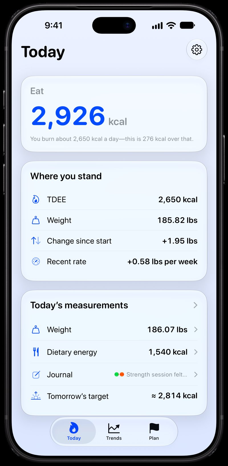 Burn Rate on iPhone 18 Pro Max showing Home for the gain story, in the Blue tint, light appearance.