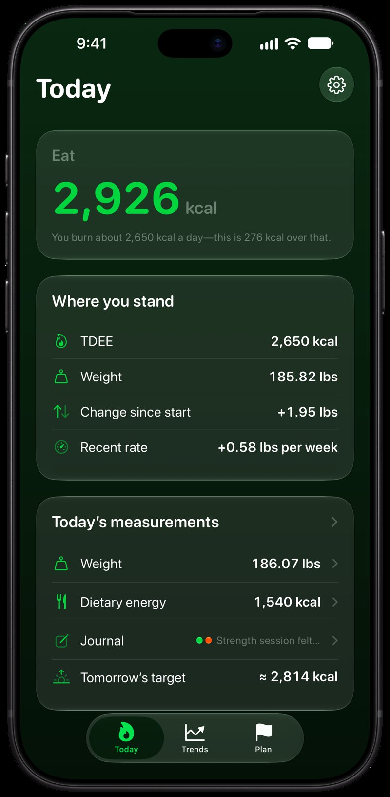 Burn Rate on iPhone 18 Pro Max showing Home for the gain story, in the Green tint, dark appearance.