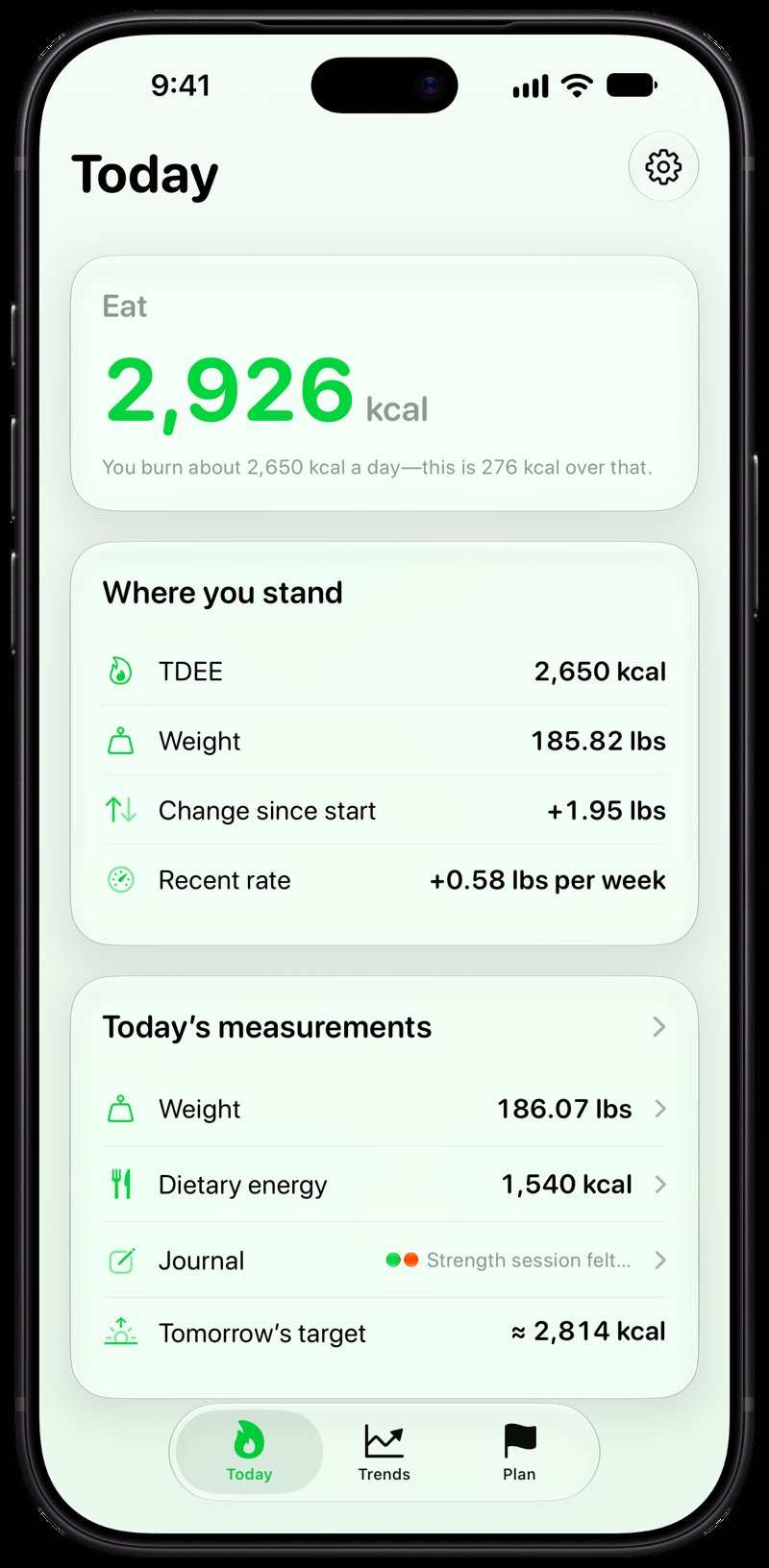 Burn Rate on iPhone 18 Pro Max showing Home for the gain story, in the Green tint, light appearance.