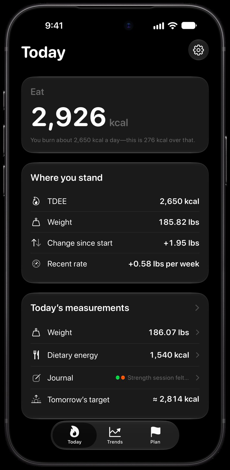 Burn Rate on iPhone 18 Pro Max showing Home for the gain story, in the Grey tint, dark appearance.