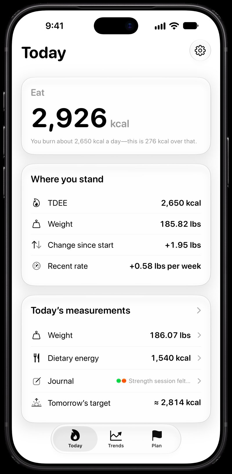 Burn Rate on iPhone 18 Pro Max showing Home for the gain story, in the Grey tint, light appearance.