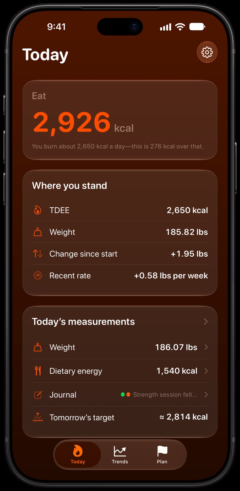 Burn Rate on iPhone 18 Pro Max showing Home for the gain story, in the Orange tint, dark appearance.