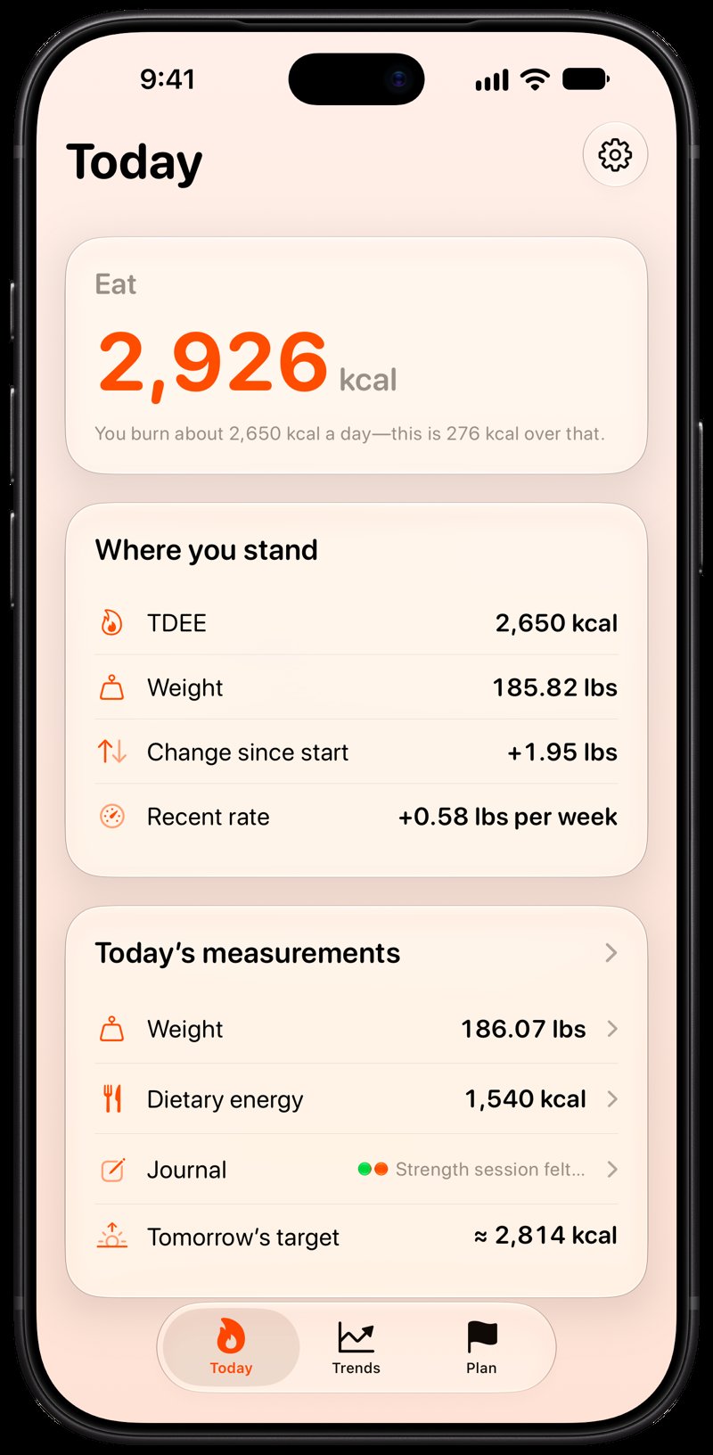 Burn Rate on iPhone 18 Pro Max showing Home for the gain story, in the Orange tint, light appearance.