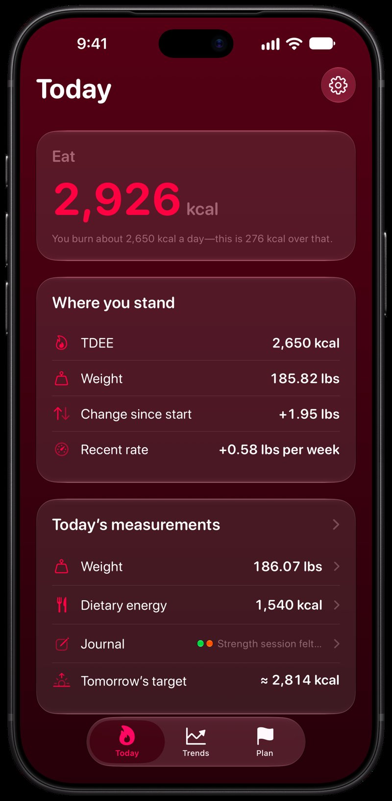 Burn Rate on iPhone 18 Pro Max showing Home for the gain story, in the Pink tint, dark appearance.