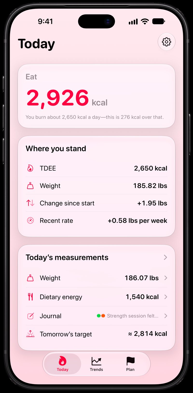 Burn Rate on iPhone 18 Pro Max showing Home for the gain story, in the Pink tint, light appearance.