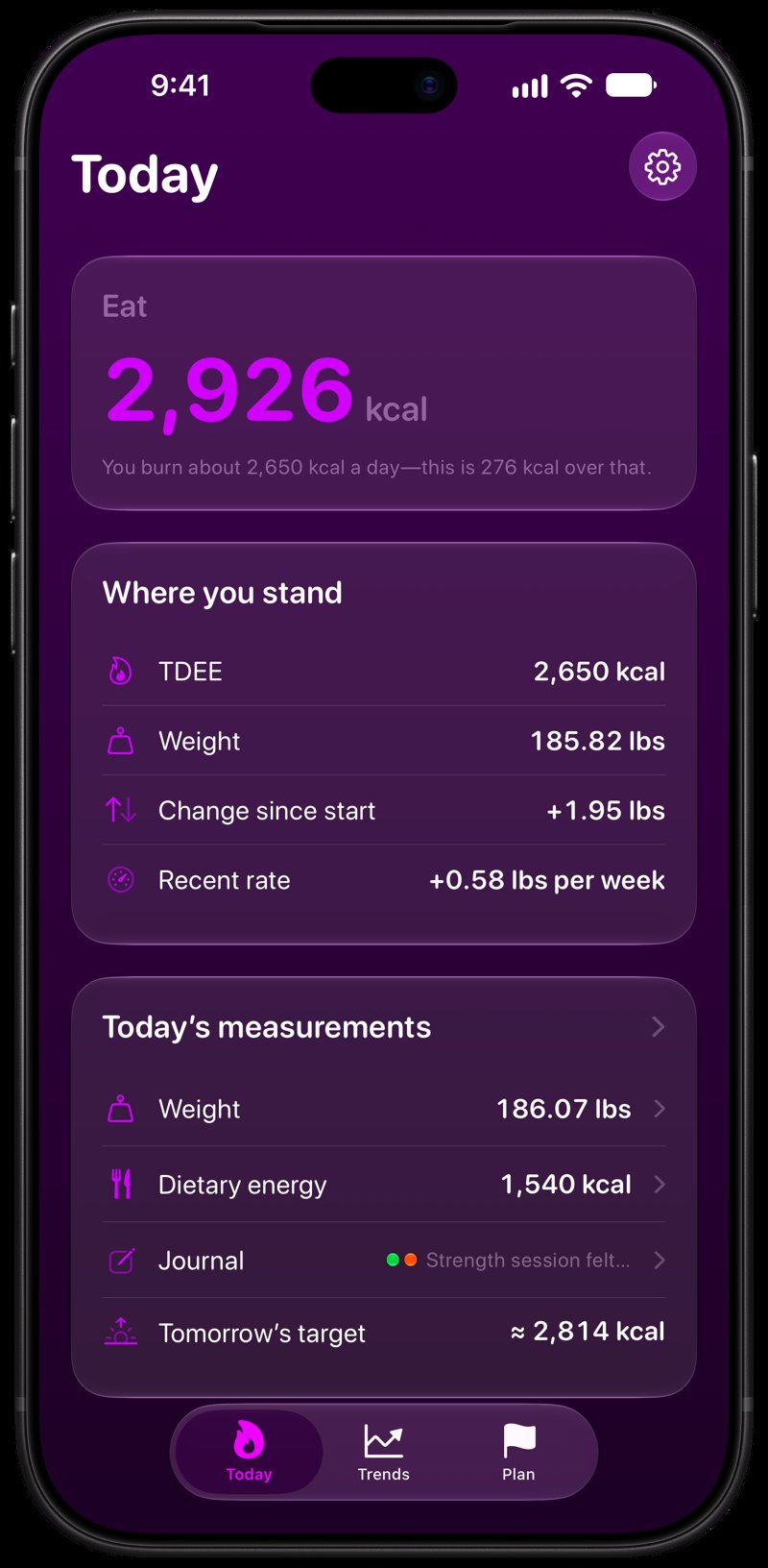 Burn Rate on iPhone 18 Pro Max showing Home for the gain story, in the Purple tint, dark appearance.