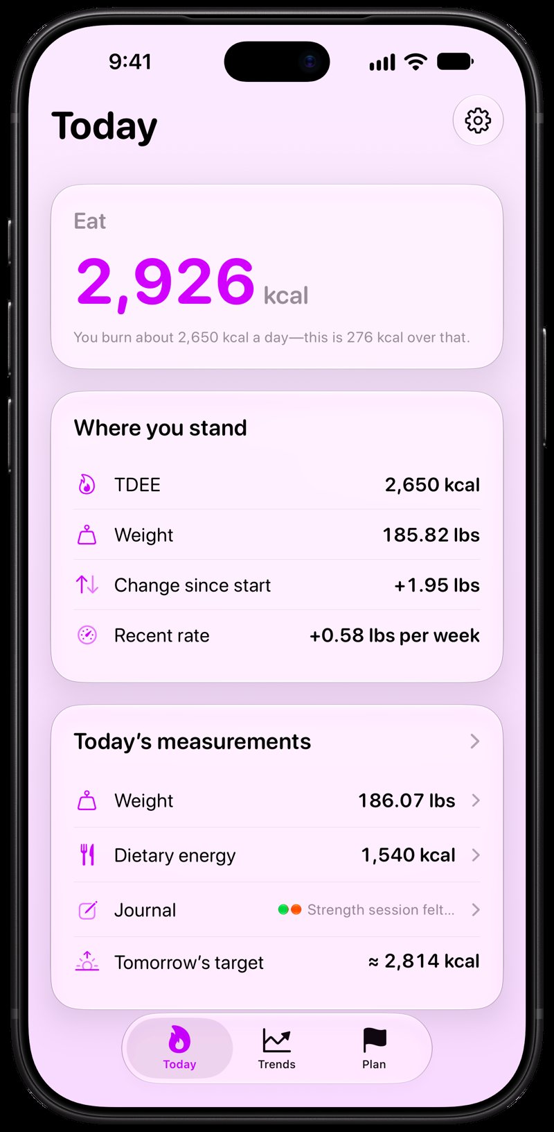 Burn Rate on iPhone 18 Pro Max showing Home for the gain story, in the Purple tint, light appearance.