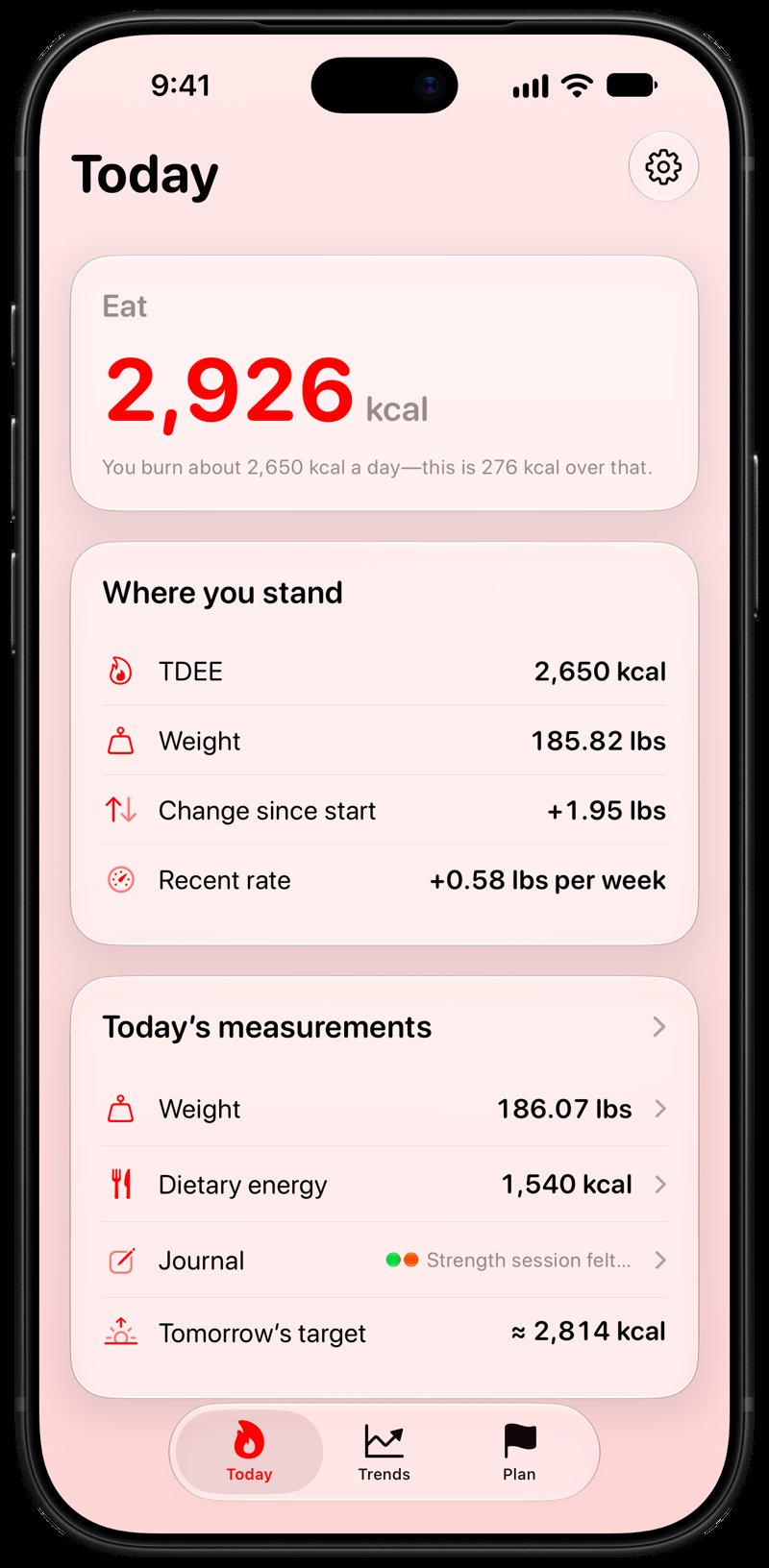 Burn Rate on iPhone 18 Pro Max showing Home for the gain story, in the Red tint, light appearance.