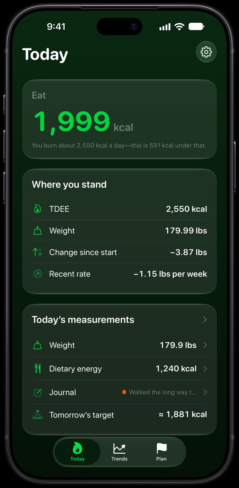 Burn Rate on iPhone 18 Pro Max showing Home for the loss story, in the Green tint, dark appearance.