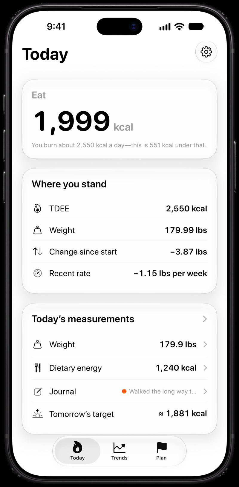 Burn Rate on iPhone 18 Pro Max showing Home for the loss story, in the Grey tint, light appearance.
