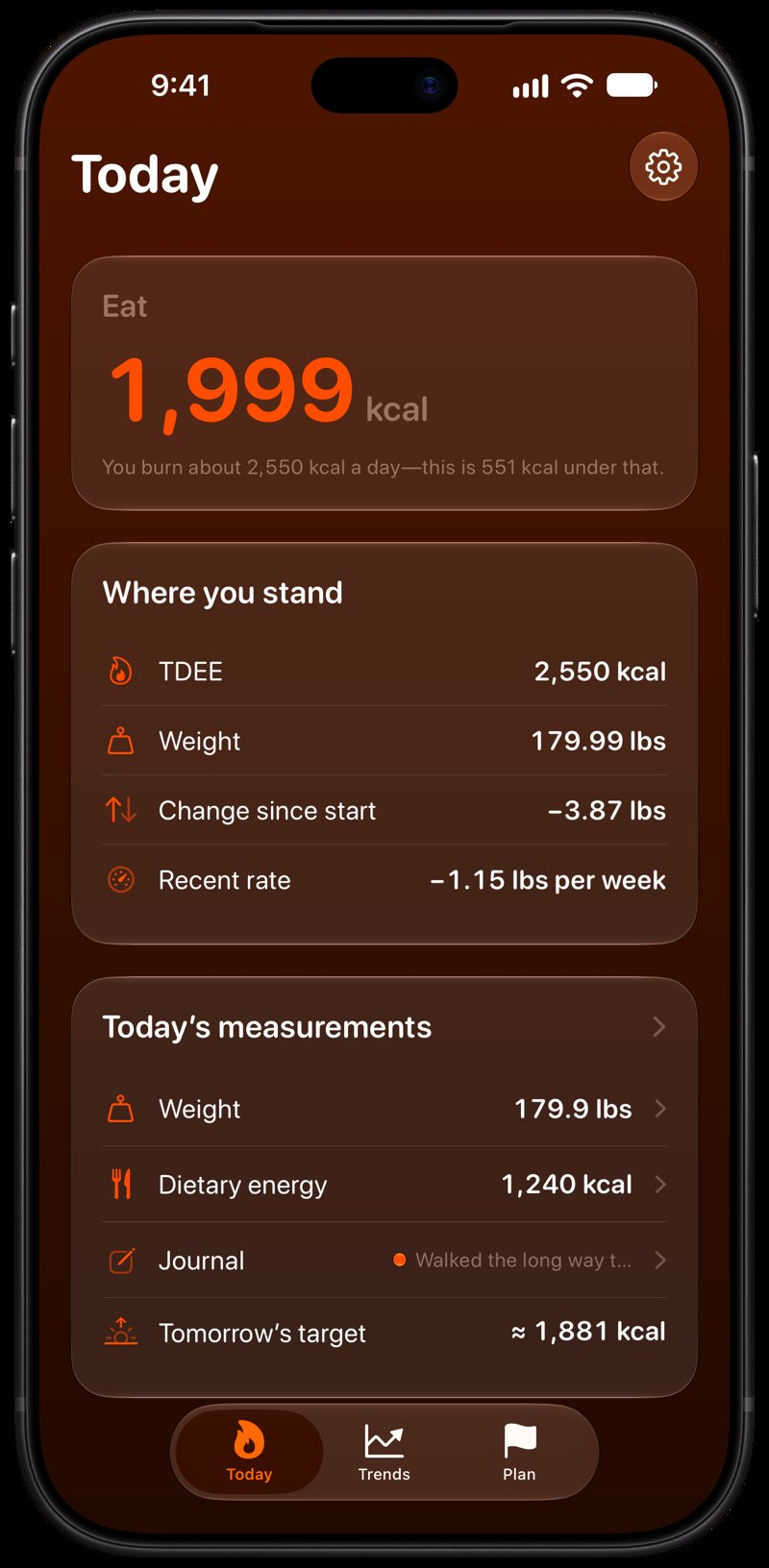 Burn Rate on iPhone 18 Pro Max showing Home for the loss story, in the Orange tint, dark appearance.