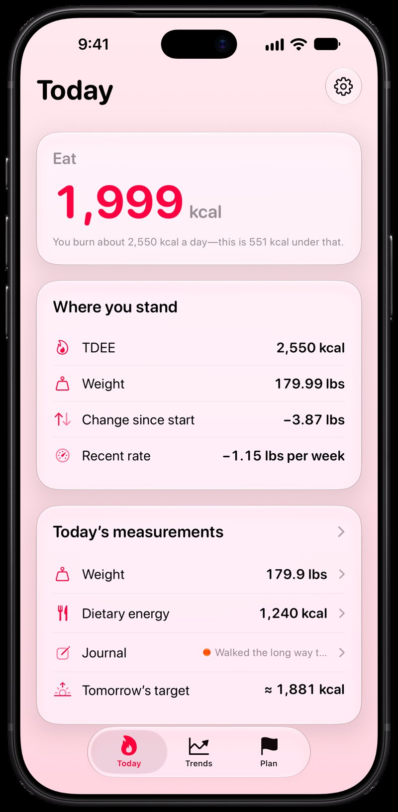 Burn Rate on iPhone 18 Pro Max showing Home for the loss story, in the Pink tint, light appearance.