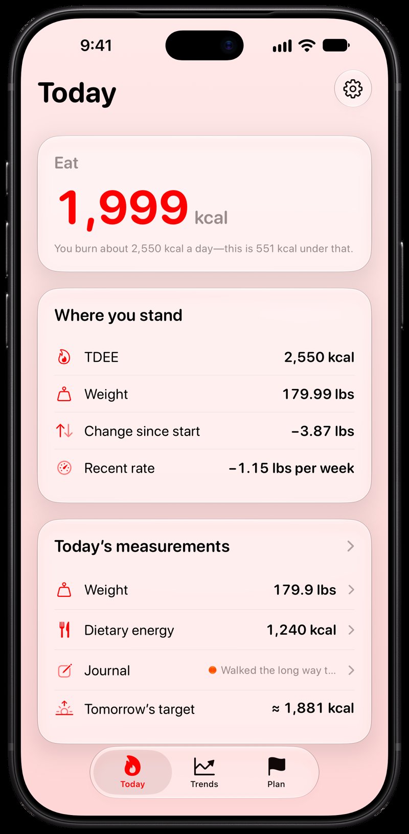 Burn Rate on iPhone 18 Pro Max showing Home for the loss story, in the Red tint, light appearance.
