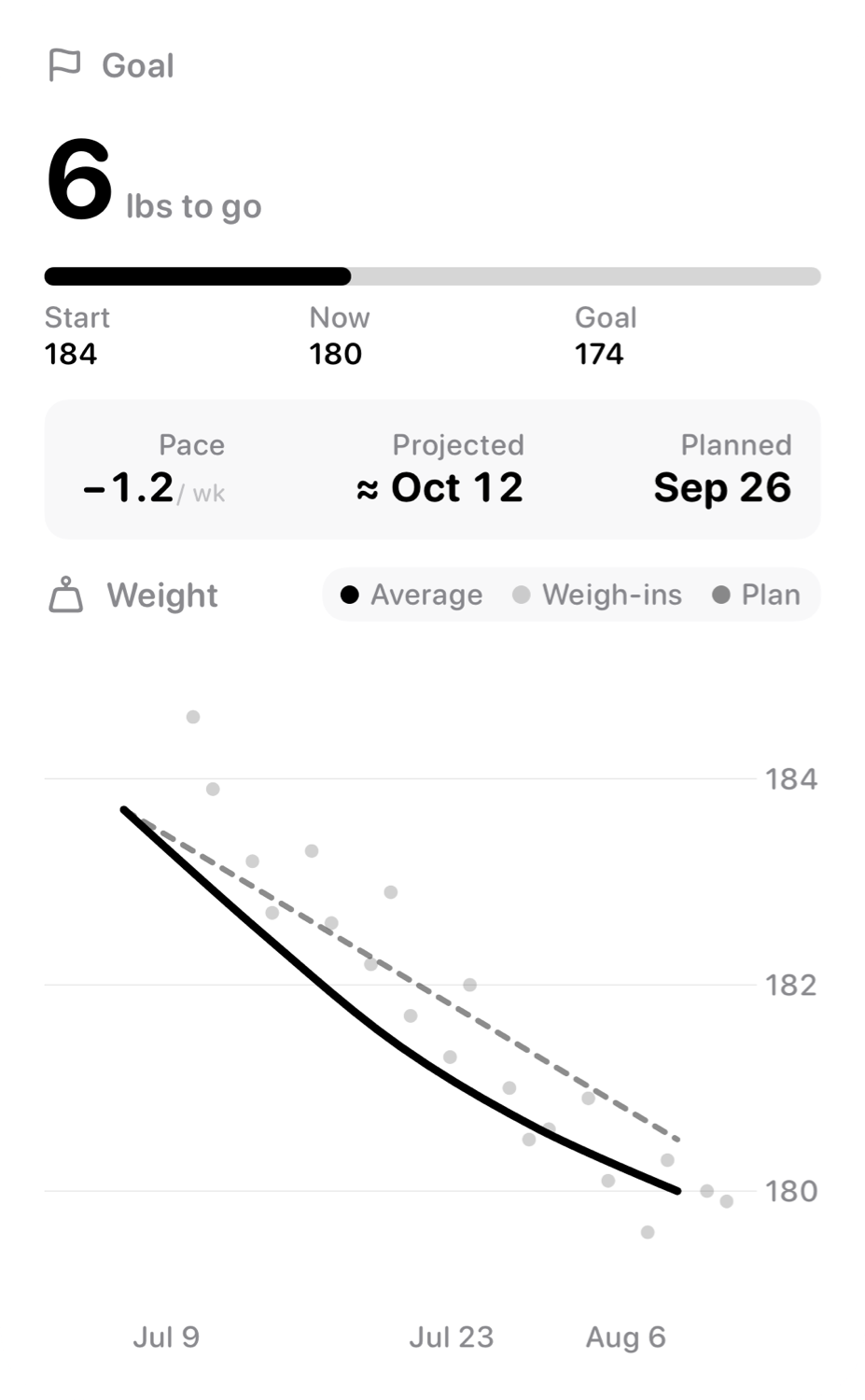 The Goal widget from Burn Rate at Extra Large Portrait size in the Grey tint, light appearance.