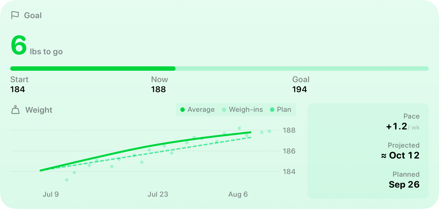 The Goal widget from Burn Rate at Extra Large size in the Green tint, light appearance.