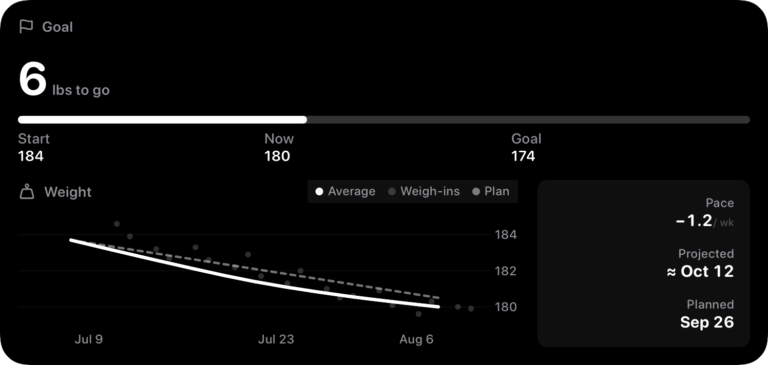 The Goal widget from Burn Rate at Extra Large size in the Grey tint, dark appearance.