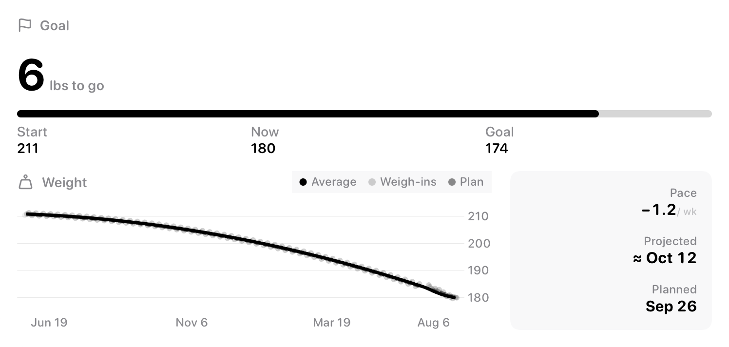 The Goal widget from Burn Rate at Extra Large size in the Grey tint, light appearance.
