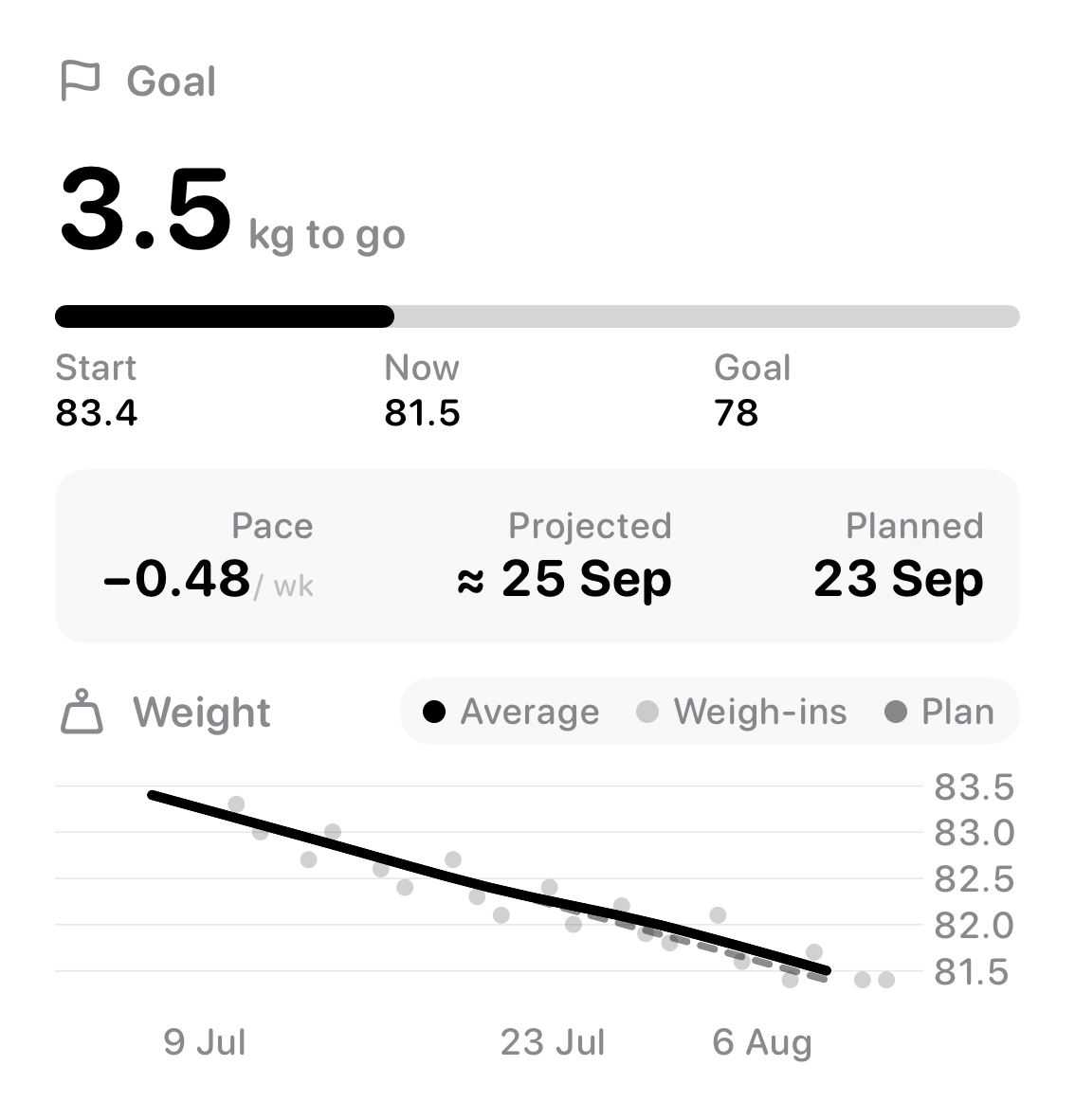 The Goal widget from Burn Rate at Large size in the Grey tint, light appearance.
