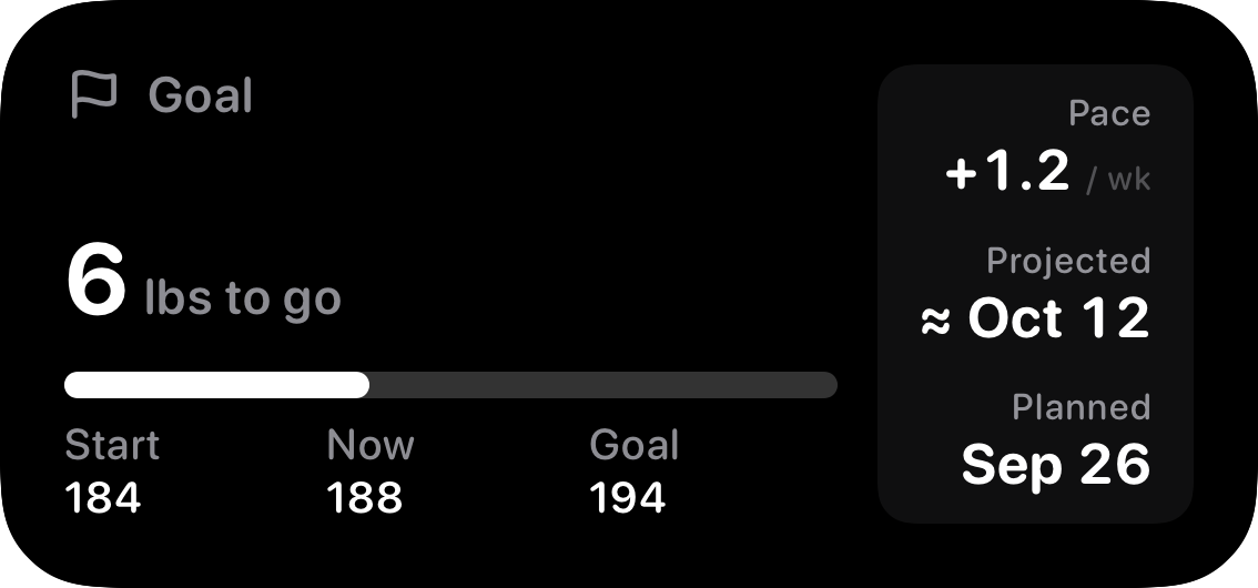 The Goal widget from Burn Rate at Medium size in the Grey tint, dark appearance.