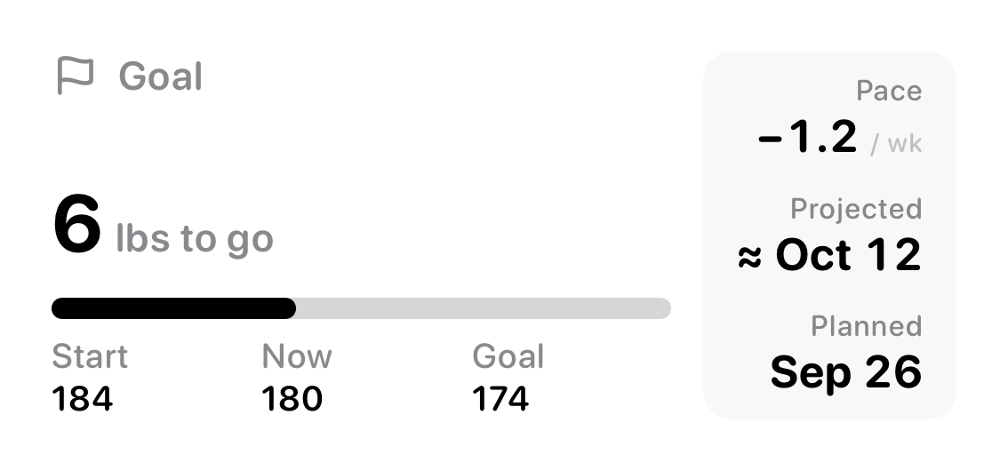 The Goal widget from Burn Rate at Medium size in the Grey tint, light appearance.