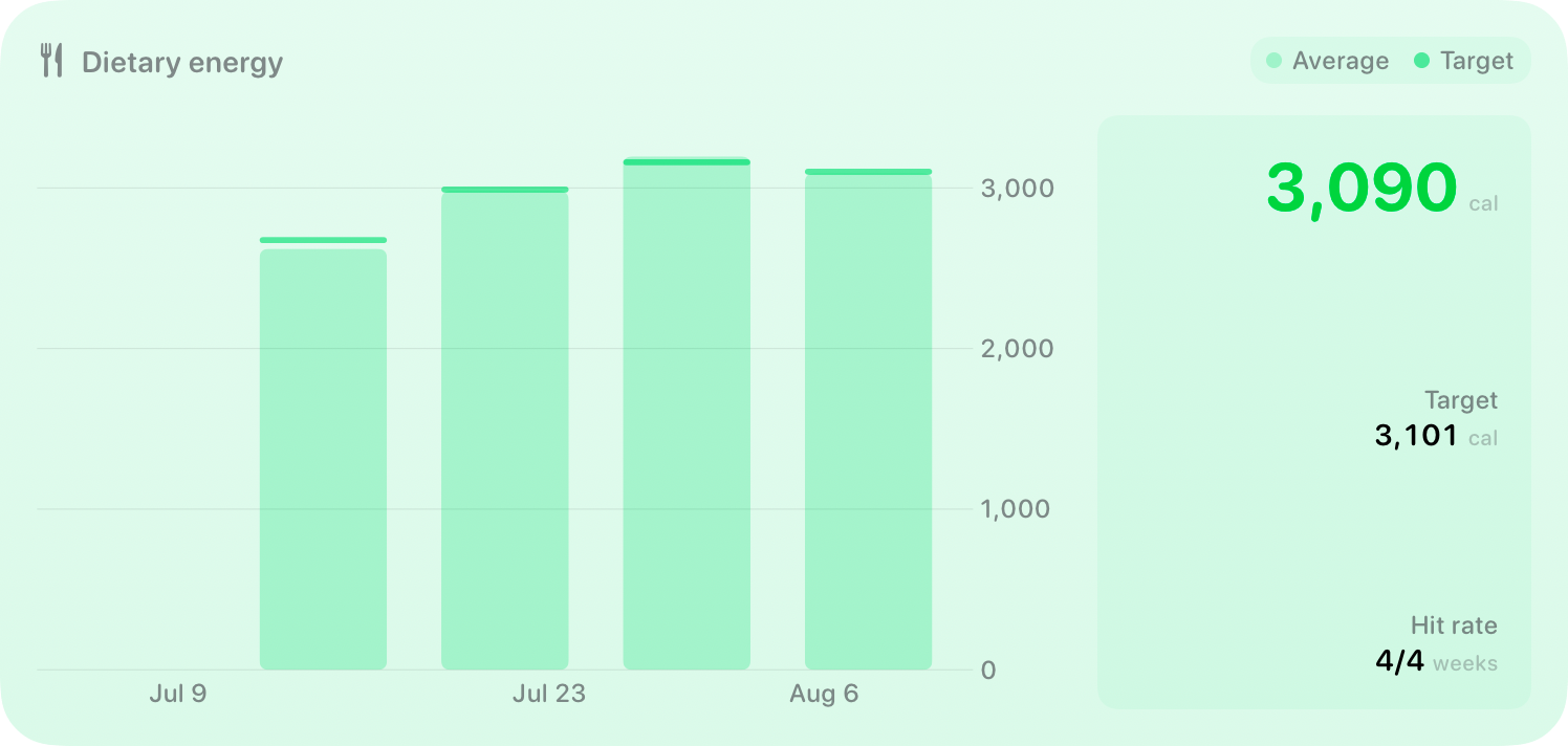 The Intake widget from Burn Rate at Extra Large size in the Green tint, light appearance.