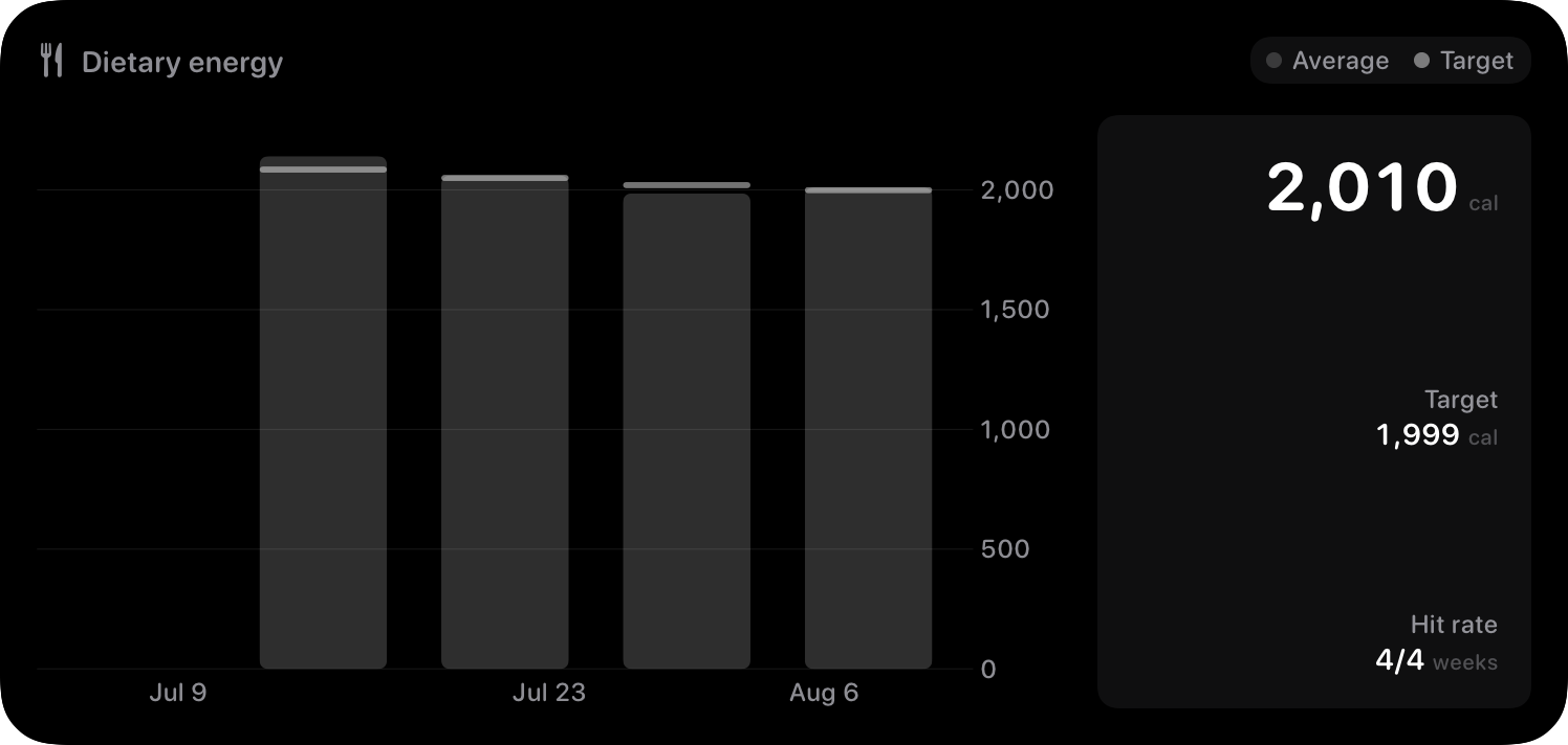 The Intake widget from Burn Rate at Extra Large size in the Grey tint, dark appearance.